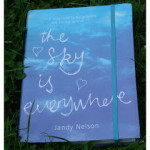 The Sky is Everywhere