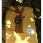 Noah Barleywater Runs Away