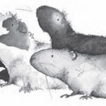 The Tales of Olga da Polga